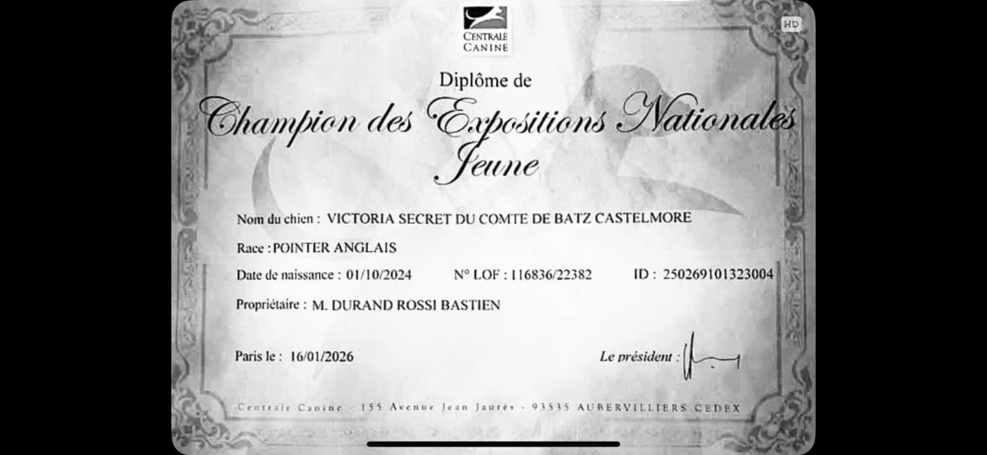 Champion des Expositions Nationales Jeunes