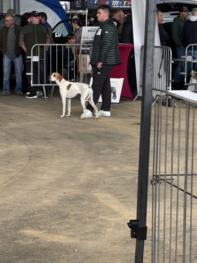 Unique victoire RCACS+RCACIB